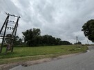 Sprzedam siedlisko 1,2 ha w okolicach Płocka - 8