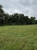 Sprzedam siedlisko 1,2 ha w okolicach Płocka - 7