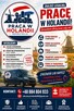 Praca w Holandii aktualne oferty pracy