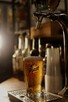 Cafe Panorama — pub, bar i kawiarnia w parku, Stare Miasto W - 10