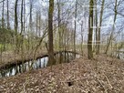 Dom 160 m²  projekt Dogodny II działka 3254m2 - 16