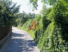 Działka budowlana Kraków Podgórze, Rajsko, Osterwy - 4