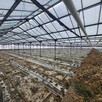 Nieruchomość rolna 39,83ha - 9