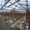 Nieruchomość rolna 39,83ha - 14