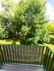 Bezpośrednio! 4 pokoje 2 piętro Dworcowa - 16