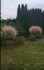 Sprzedam prawa do dzialki