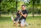 Toffik-kudłaty, mały, młody pies do adopcji - 5