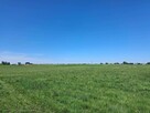 Opole Grudzice 97ar blisko centrum prywatnie - 4