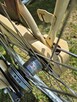 Rower holenderski Sparta Country Tour | Retro Damka z baga - 4