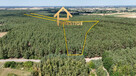 Kompleks Leśny 2,51 ha na sprzedaż - 3