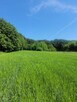 Działka budowlana Krzeszowice, Podleśna