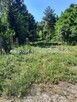 Działka budowlana Grabów nad Pilicą Nowa Wola - 2
