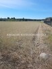 Działka budowlana Grabów nad Pilicą Nowa Wola - 4