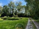 Działka | sprzedaż | 53 a | Trzcianka gm. Regimin - 4
