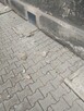 Usługa sprzątania odchodów po ptakach - 2