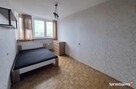 Do wynajęcia mieszkanie 46mkw/3p ul. Zielińskiego Wrocław - 2