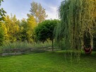 Działka rekreacyjna ROD z domkiem Strzelce Opolskie - 8