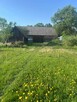 Pranie tapicerki, dywanów i kompleksowa pielęgnacja ogrodów - 11