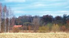Dom całoroczny Haczów Plantacja Wierzby Agro - wynajmę - 3
