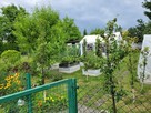 Działka ROD Maluch Sosnowiec - 1