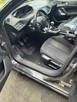 Pranie tapicerki, dywanów i kompleksowa pielęgnacja ogrodów - 4