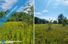 Syndyk sprzeda nieruchomości w Paczkowie i Pyskowicach - 12