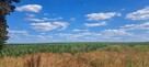 Miłków Kolonia. Działka budowlana 50 a. 179000 zł