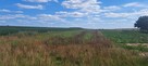 Miłków Kolonia. Piękna działka budowlana! - 3