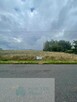 Działka rolna 4,51 ha | Wiewiórów | Klasa III i IV - 6