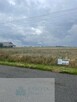 Działka rolna 4,51 ha | Wiewiórów | Klasa III i IV - 7