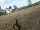 UNIKALNA 2 DZIAŁKI WE WSI KĘPIASTE W OTULINIE LASÓW - 5