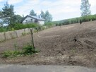 UNIKALNA 2 DZIAŁKI WE WSI KĘPIASTE W OTULINIE LASÓW - 7