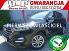 Hyundai Tucson 1,6i Navi Ledy Alu Klimatronik 1.Właściciel VIP Gwarancja - 1