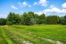 Działka budowlana Lipnica Górna gm. Lipnica Murowana - 9