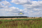 Działka 35 arów, wydane WZ, Racław - 5
