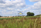 Działka 35 arów, wydane WZ, Racław - 6