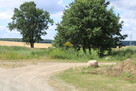 Działka 35 arów, wydane WZ, Racław - 9