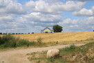 Działka 35 arów, wydane WZ, Racław - 10