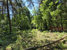 Działka rekreacyjna Grzymek gm. Żabia Wola, - 4