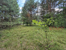 Działka budowlana Marynin gm. Grodzisk Mazowiecki, - 1