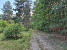 Działka budowlana Marynin gm. Grodzisk Mazowiecki, - 2