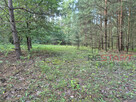 Działka budowlana Marynin gm. Grodzisk Mazowiecki, - 3