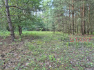 Działka budowlana Marynin gm. Grodzisk Mazowiecki, - 8