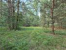 Działka budowlana Marynin gm. Grodzisk Mazowiecki, - 9