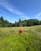 Widokowa działka na Mogielicy-zachwyca - 4