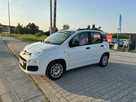 Fiat Panda Bardzo zadbany/Światła do jazdy dziennej/Klima sprawna/Bezwypadkowy - 2