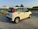 Fiat Panda Bardzo zadbany/Światła do jazdy dziennej/Klima sprawna/Bezwypadkowy - 3