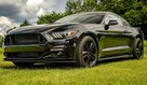 Mustang turbo, performance pack + premium pack + modyfikacje - 5