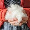 KOŁDRY PODUSZKI Z PUCHU I PIERZA HURTOWO PRODUCENT - 10