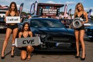 Mustang turbo, performance pack + premium pack + modyfikacje - 14